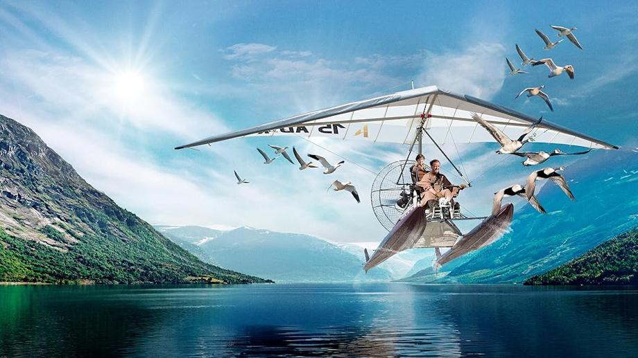 junge und wildgaense